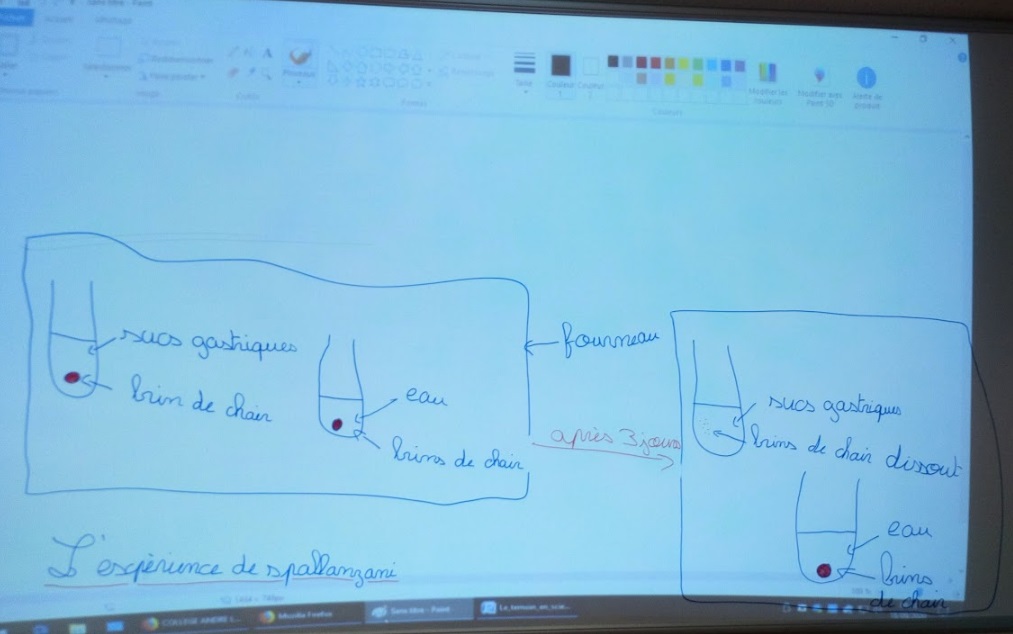Chap.1 Alimentation et digestion A vos sciences Chap.1 Alimentation et digestion A vos sciences